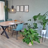 Elisa Ruiter voedingsadvies & begeleiding