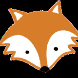 Petit Fox Portugal