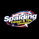 spaldingcarpetcleaner.com