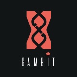 Get Gambit Reviews 2026 | Trustindex.io - Trustindex.io