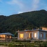 beige-lion-267622.hostingersite.com