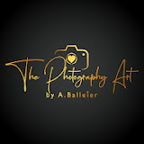 ThePhotographyArt Reviews
