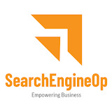 SearchEngineOp Diseño Web & SEO Reviews