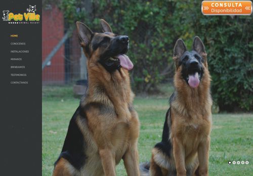 Petville Animal Resort