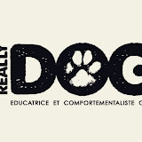 www.really-dog.fr