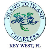 islandtoislandcharters.com