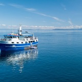 Custom Alaska Cruises