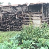 triarchdesignstudio254.com