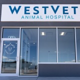 WestVets Animal Hospital