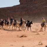 Wadi Rum Horses - The desert riding center