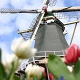 Holland  Day Tours