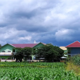 Sekolah Islam Terpadu Nurul Fikri Selong Reviews