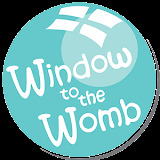 Window to the Womb