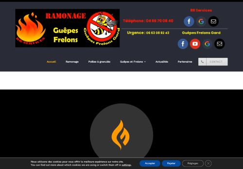 RR Services Guêpes Frelons Gard | Ramonage | destruction nid de Guêpes et nid de Frelons