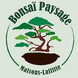 bonsaipaysage.fr