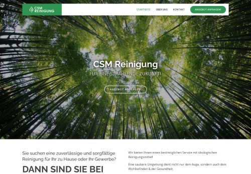 CSM-Reinigung Trier