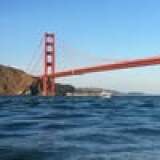 swimalcatradev.wpenginepowered.com