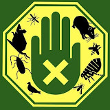 deratisenetexper-ri96ttn158.live-website.com