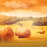 dev.eta-transport-marignol.com