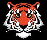 TigerStripes Digital Ltd