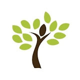 careychiropractickc.com