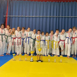 Avasatare - Klub Sportowy. Taekwondo / boks / akrobatyka