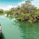 Sundarbon eco tour