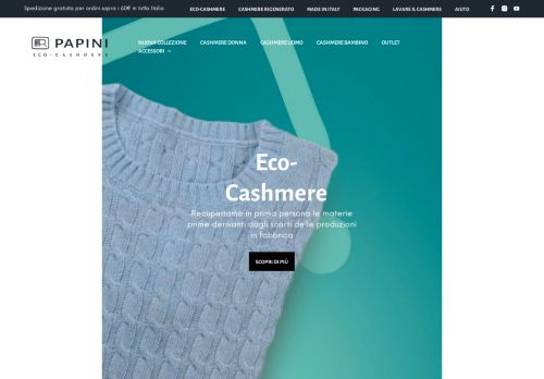 Papini Cashmere