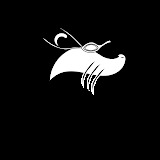 otterswimschoolnj.com