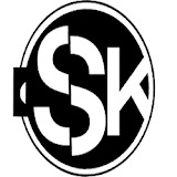 skappliancerepair.com
