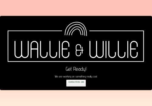 www.walliewillie.be
