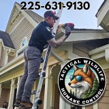 tacticalwildlife.com