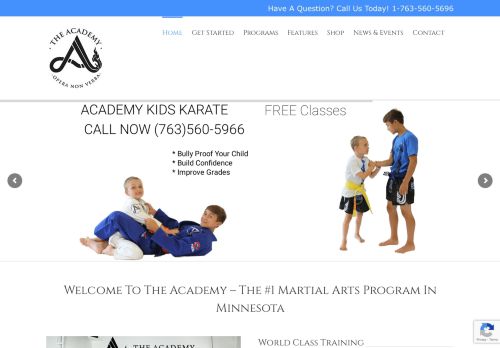 theacademymn.com