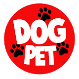 Dog Pet