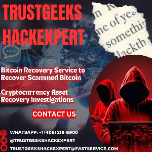 CONSULT TRUSTGEEKS HACK EXPERT TO RECOVER LOST / STOLEN CRYPTOCURRENCY