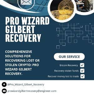 Recovering Your Digital Wealth - Hire Pro Wizard Gilbert Recovery.