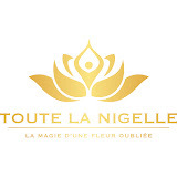 www.toutelanigelle.com