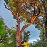 linoapicultura.com.br