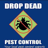 Drop Dead Pest St George