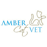 Amber Cat Vet | Cat Clinic | Feline Specialist | Singapore