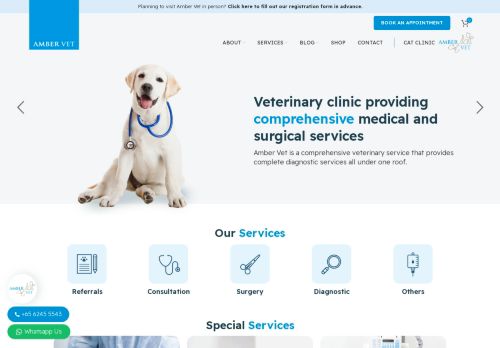 Amber Cat Vet | Cat Clinic | Feline Specialist | Singapore