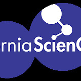 cranixethicalsolutionshaven.info