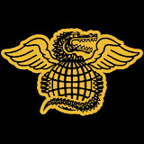 partizangrappling.com