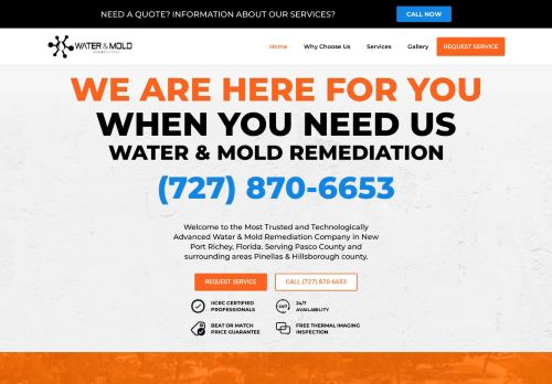 Water and mold remediation