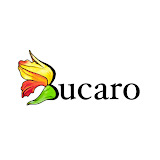 www.bucaroshoes.us