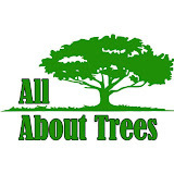besttreetrimming.com