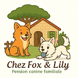 chezfoxetlily.fr
