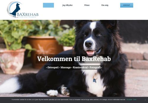 www.baxrehab.dk