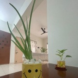 trialnamescom.wpcomstaging.com/home