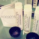 Salon Alexandre Schoettel